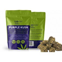 Purple Kush - 8% CBD Cannabidiol Cannabis Bourgeons, 10 grammes
