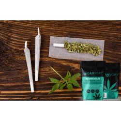 Silver Shaze - 4% CBD Cannabidiol Cannabis bâtons d'encens parfum