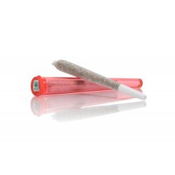 Bernese Alps Kush - 4% CBD Cannabidiol Cannabis bâtons d'encens parfum