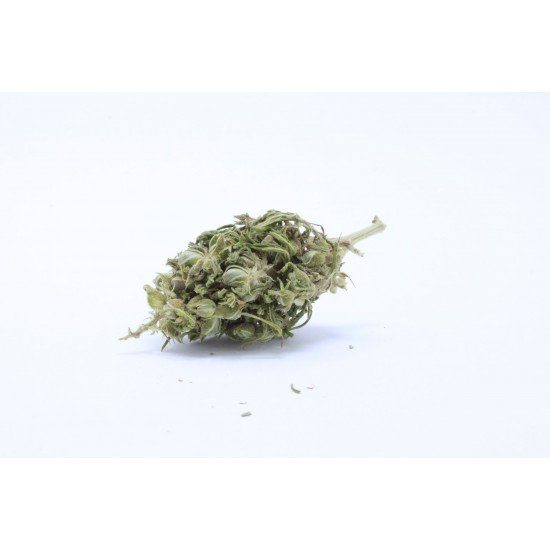 Thé de fleurs de chanvre bio CBG Cannabigerol original 2% CBG